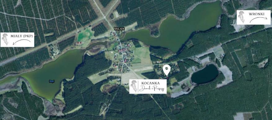 Domek W Puszczy ,,Kocanka" Mezyk Exterior photo