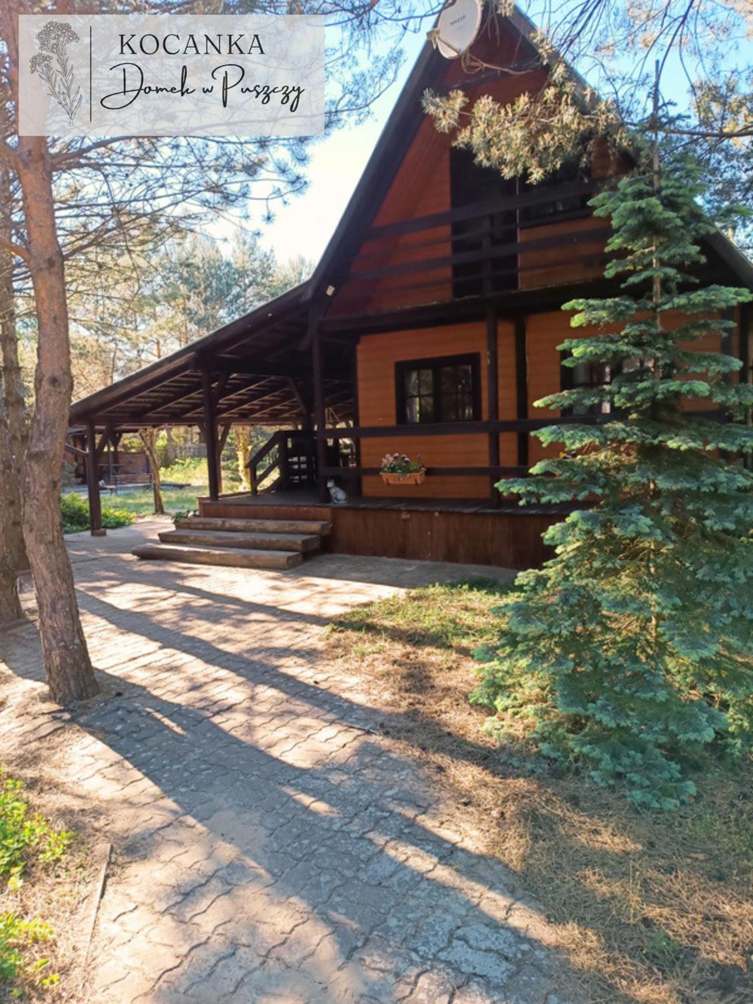 Domek W Puszczy ,,Kocanka" Mezyk Exterior photo